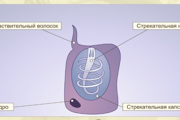 Кракен at