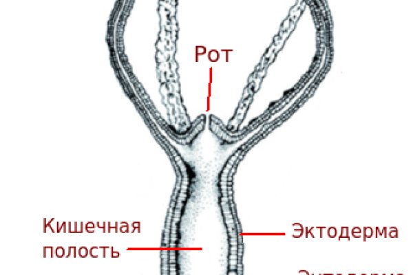 Кракен сообщество