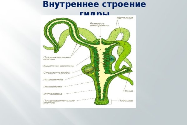 Кракен обход