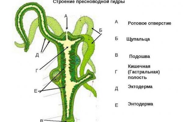 2krn at официальный