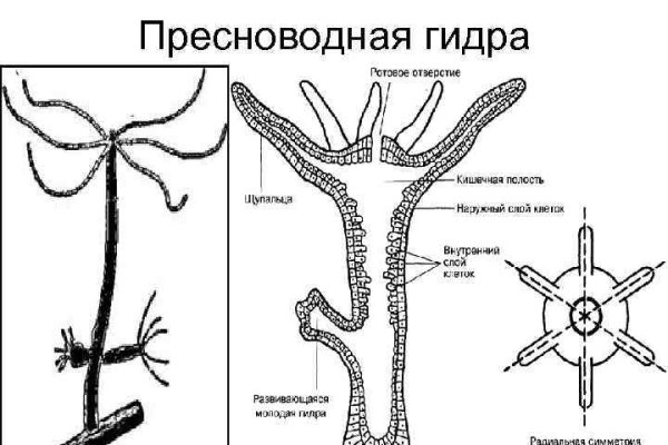 Kraken адрес