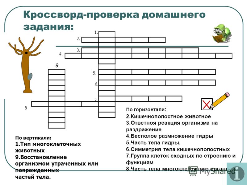 Кракен 13at